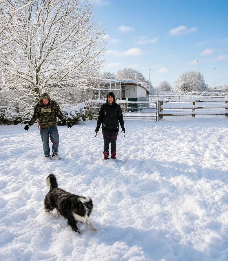 Staff walking dogs at Woodside in the snow